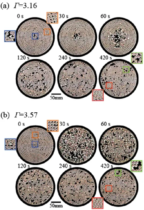 Figure 2.6: Time-successive snapshots of the behavior of 521 particles, indicating a reentrant transition