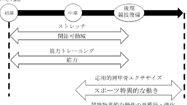 図 1.3   肩甲骨機能不全に対する運動介入のイメージ 