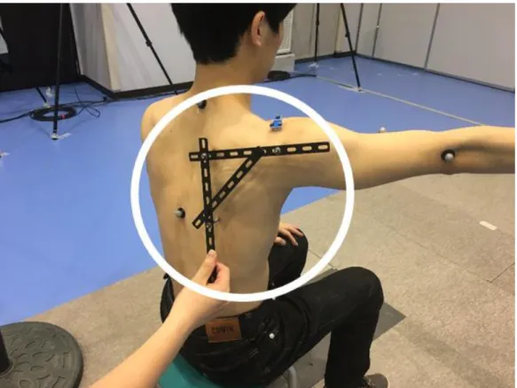 図 2.5  Scapular locator
