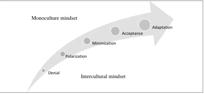 Figure 3: Intercultural Developement Continuum 