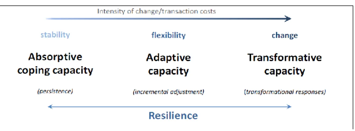 Figure 2. Capacities for Resilience 