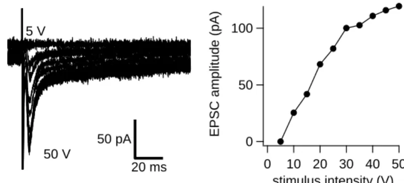 Figure 7. LL-evoked postsynaptic currents recorded in CNIC neuron to single pulse stimulation