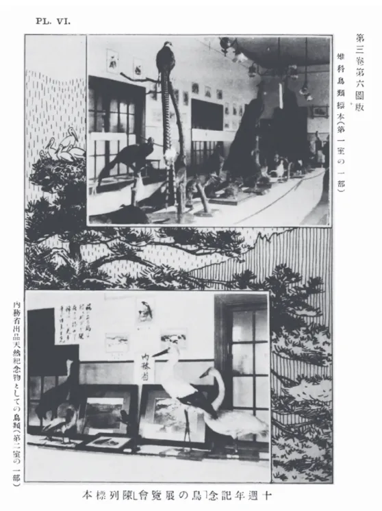 図 5  日本鳥学会 10 周年記念「鳥の展覧会陳列標本」 