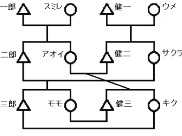 図 10  限定交換モデル  さらに開発者が「アライアンス」の課題として挙げているのは、婿養子のように婚姻関係と 養取関係が重なっている場合の表示である。婿養子の個人データには婿養子自身の実親と同時 に妻の実親も養親として登録できるが、その場合、結果として夫婦が兄弟姉妹のように表示さ れてしまう（ibid.） 。これらの問題については、次項の「アライアンス」を用いた作画事例のと ころで検討したい。  こうした課題はあるが、 「アライアンス」は既に日本の江戸期の宗門改帳の分析や（杉藤 2005;  杉藤・川口
