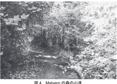 図 4 Malvern の森の山道