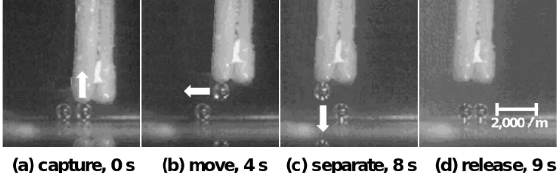 Fig. 3    Capture, move, separate, and release of particle. (1 mm plastic particle, 1.6 kV ap- ap-plied voltage at capture) 