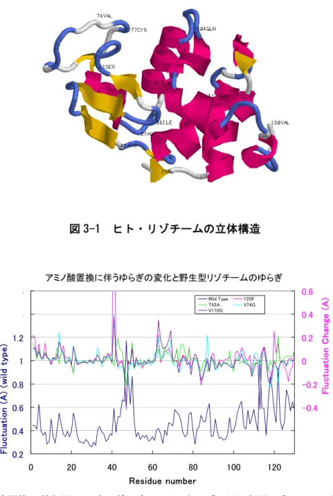 図 3-2  アミノ酸置換に伴う原子のゆらぎの変化（上、右目盛）と野生型リゾチームにおける原子の ゆらぎ（下、左目盛）。凡例に示す、４つの変異型リゾチームについて示した。