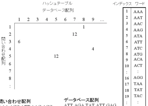 図 2.8: FASTA のハッシュテーブル ピードアップになる。ただし、当然のことであるがキーとなる 2 文 字とも一致しなければ検出できないので、例えば、 AC と AG が半 分一致しているといったことは分からなくなってしまう。すなわち、 タプルサイズを大きくすると検索は高速になるが感度は悪くなって しまう。計算時間と検索感度にはトレードオフが存在する。 2