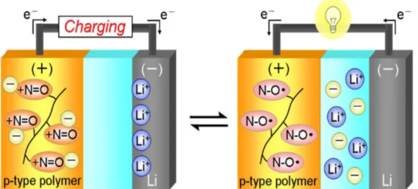 Figure 1.2.9 The ion transport in p-type radical polymer battery during charging/discharging process