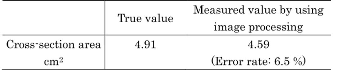 Table 6.3 Measured cross-section area by the proposed algorithm (N=5) 