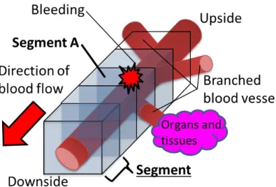 Table 2.5  The target blood vessel for detecting bleeding