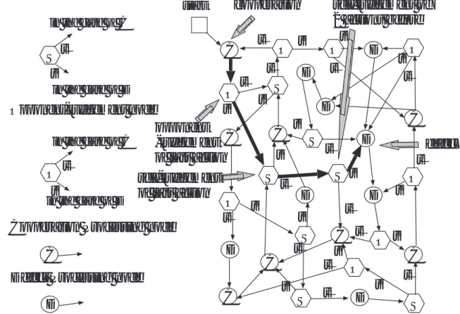 Fig. 2.7 An example of GNP structure