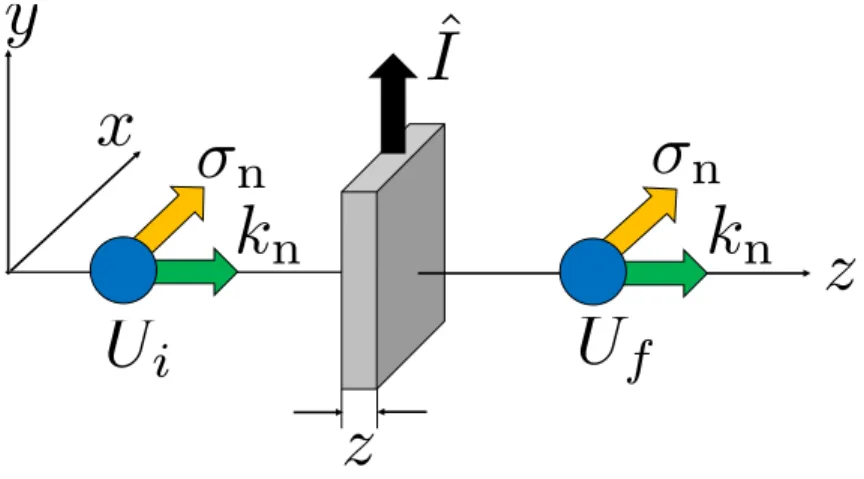 Figure 2.4: Measurement principle of D term with polarized neutrons and a polarized target.