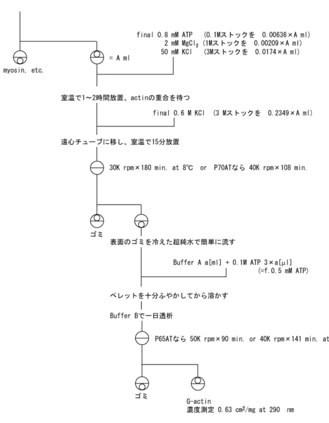 図 2-1   アセトンパウダーからの G- アクチン調製法