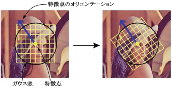 図 2.1 特徴量を記述する対象領域