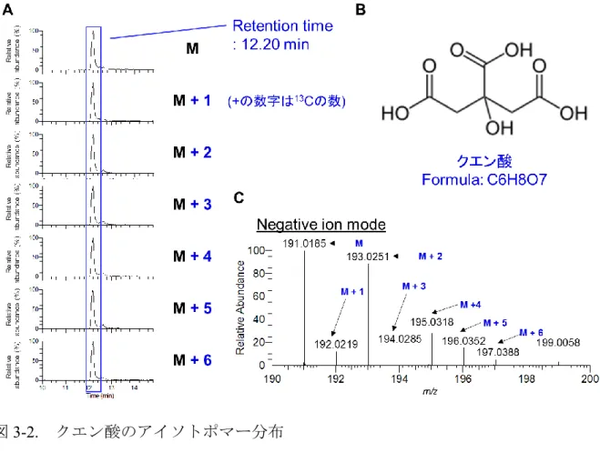 図 3-2.  クエン酸のアイソトポマー分布 