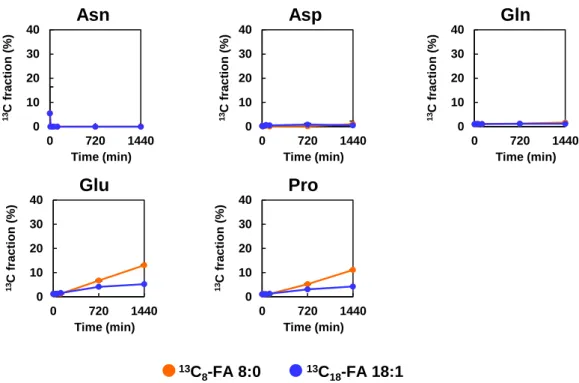 図 3-9.  AML12 細胞を 13 C 8 -FA  8:0 または 13 C 18 -FA  18:1 で処理後の培地中のアミノ酸 の標識化率の経時変化   (n = 4)  標識化率は平均値    標準偏差で示した． 0102030400720144013C fraction (%)Time (min)Glu0102030400720144013C fraction(%)Time (min)Asn0102030400 720 144013C fraction (%)Time (min)Asp 0