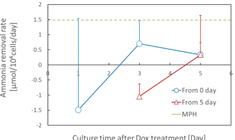Fig. 5-3 Comparison of the ammonia removal rate of Hepa/8F5 cells after adding doxycycline  in different culture conditions (normalized by unit cell number) 
