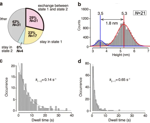 Figure 2-4. Dynamic height analysis of the AfAglB molecules in the lipid bilayer.   