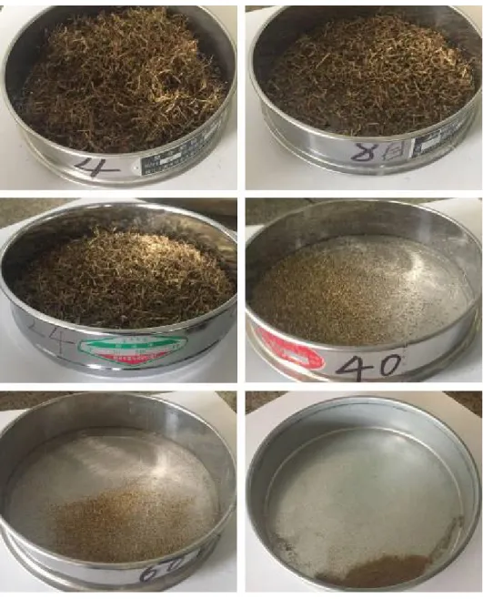 図 2-8  粉砕した茎繊維の分布状況  2.4.3.2 強度の比較  今回の試験は、材料の曲げ強さ、引張強さを測定する。力学試験の結果（表2-5）に よると、高木型茶樹の茎は成形後の強度が低木型茶樹の茎より大きかったことが分かっ た。このことから、仮説2と一致した結果が得られた。  また、この実験により、茶の茎による成形したボードの強度に影響する要素を解明し た。強度に影響する要素は茶樹の種類である。そのため、すべての茎は同じ加工方法に 適合しているわけではなく、茶の茎の加工実験と茶の生産区の現地状況を結
