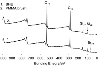 Figure 2-5. XPS spectra of 1, BHE immobilized Si substrate 2, PMMA polymer brush.   