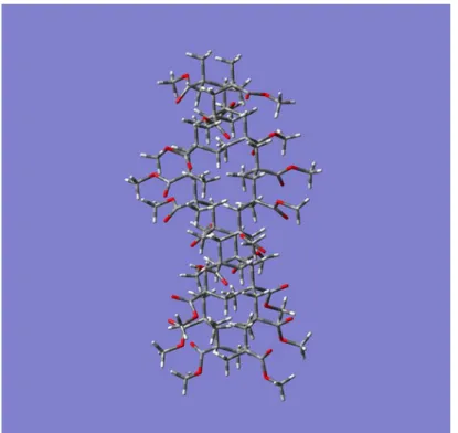 Figure 2-8. Side view of it-PMMA polymer.