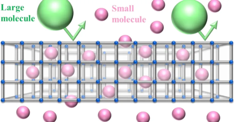 Figure 5.    Size-sieving property of MOF-based separation membrane. 