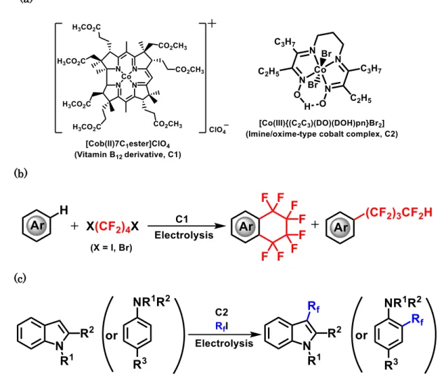 Figure 1. Summary of this thesis. (a) Cobalt catalysts: vitamin B 12  derivative (C1) and its model  complex  (C2);  (b)  Chapter  two:  C1-mediated  cyclic  and  acyclic  perfluoroalkylation  of  (hetero)arenes;  (c)  Chapter  three:  C2-mediated  perfluo