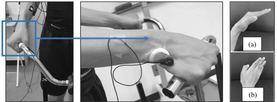 Figure 2.6. Illustration of the wrist in a (a) flexed and (b) slightly ulnar deviated  posture during task performance