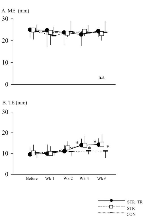 Fig. 4-3 The changes of tissue elongation throughout flexibility training period.