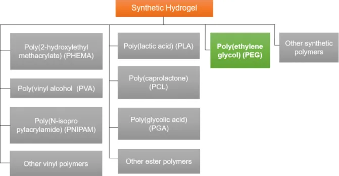 Fig. 1.4 Commonly used synthetic polymer as the hydrogel precursor for cell culture  application