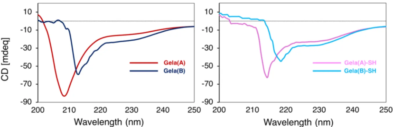 Fig. 2.5. Effect of thiolation on different gelatin type by circular dichroism (CD) profile in the  wavelength region from 200-250 nm