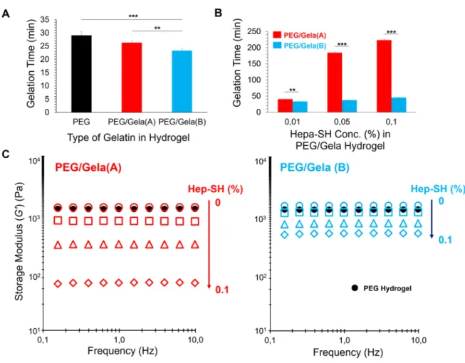 Fig 2.6. (A) Gelation time of the PEG_hydrogel and PEG/Gela_hydrogels with different types  of  Gela-SH  (0.1%);  (B)  Effect  of  the  Hepa-SH  concentration  on  gelation  time  of  PEG/Gela/_hydrogels; The gelation time was determined by a stirring magn