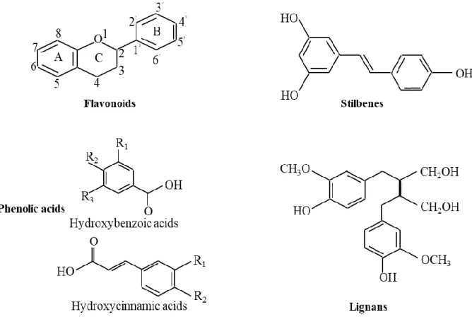 Figure 1-3. Basic structure of the different classes of polyphenols 