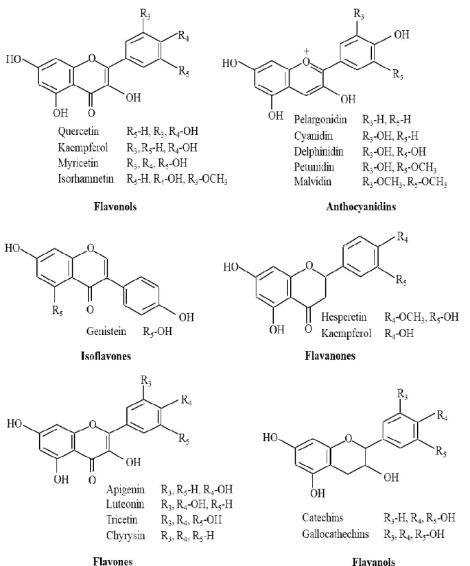 Figure 1-4. Structures of different classes of flavonoids 