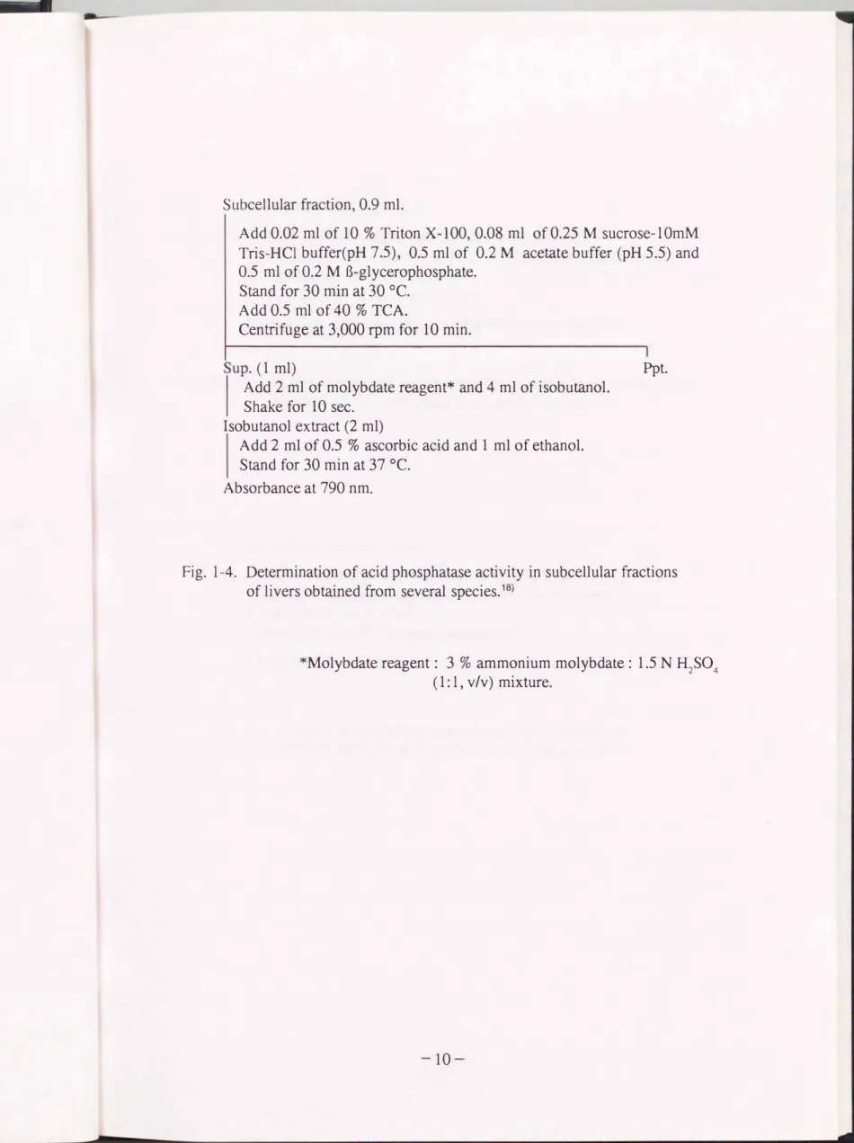Fig.  1-4.  Determination  of acid phosphatase activity in subcellular合actions of  livers obtained仕om several  species.18) 
