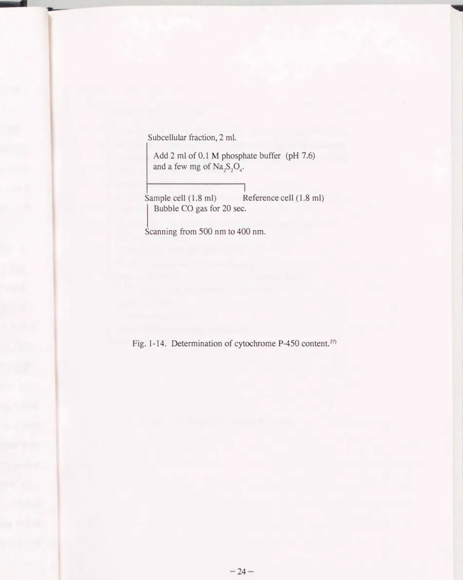 Fig.  1-14.  Determination of  cytochrome  P-450  content.27) 