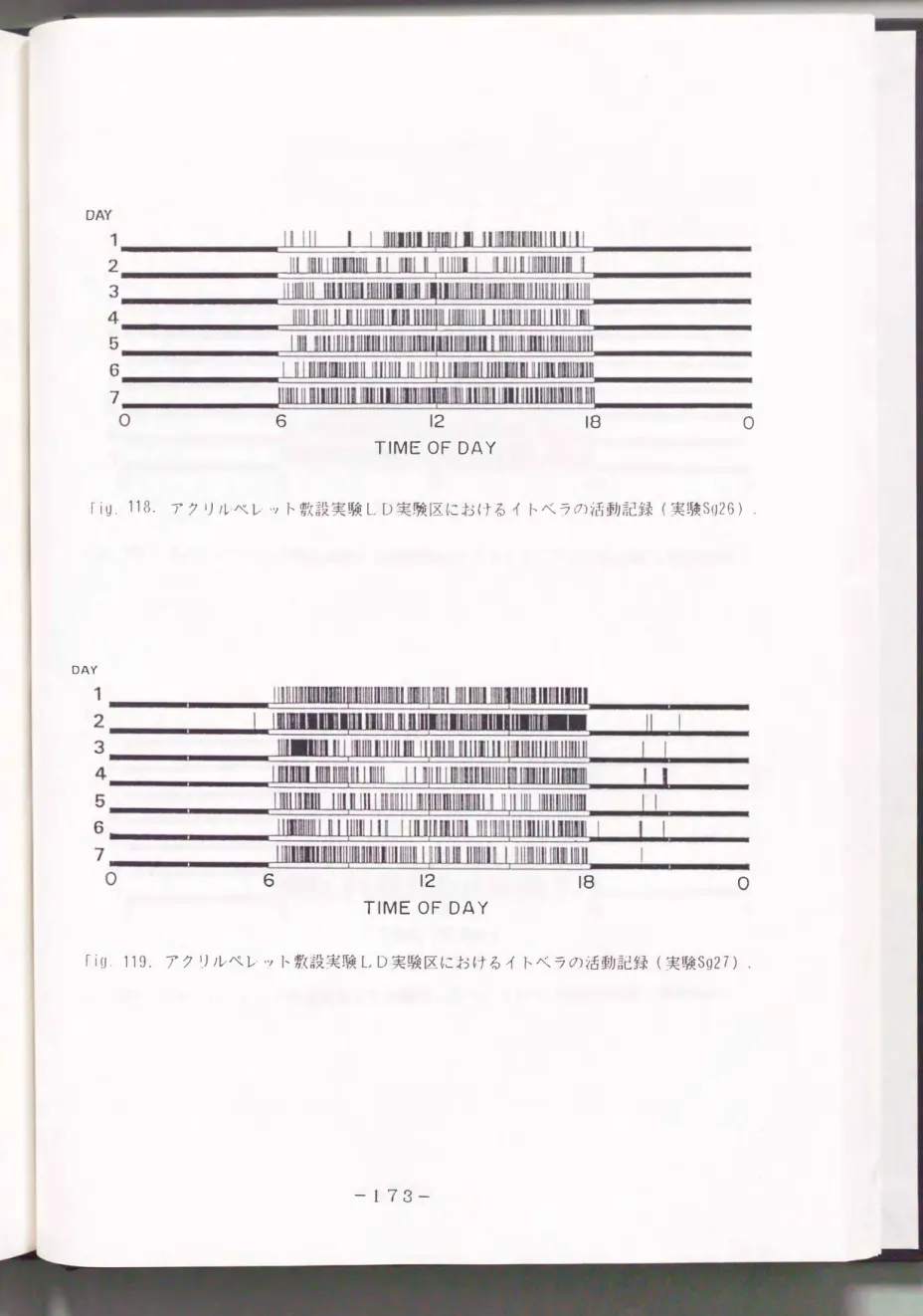Fig.  119. アクリルペレット敷設実験しD実験区におけるイトベラの活動記録(実験Sg27) . 