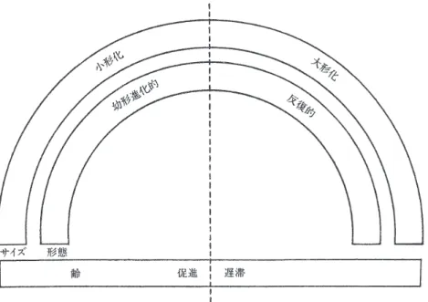 図 1-4　異時性の領域。齢のスケール上では促進され，遅滞されている。形態のスケール上では 幼形進化的で反復的である。サイズのスケール上では大形化するか小形化する。