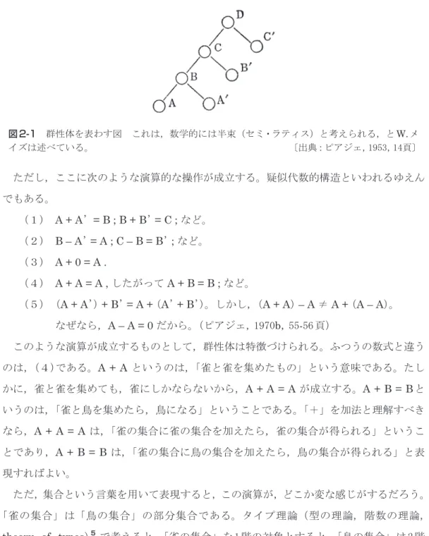 図 2-1 　群性体を表わす図　これは，数学的には半束（セミ・ラティス）と考えられる，と W. メ イズは述べている。 　　　　　　　　　　　　　　　　　　　　　   〔出典：ピアジェ，1953，14頁〕 　ただし，ここに次のような演算的な操作が成立する。疑似代数的構造といわれるゆえん でもある。 　　 （１） 　A + A’= B ; B + B’  = C ; など。 　　 （２） 　B – A’  = A ; C – B = B’  ; など。 　　 （３） 　A + 0 = A 