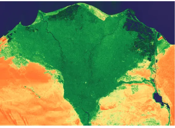 図 9 ：正規化植生指標（ NDVI ）