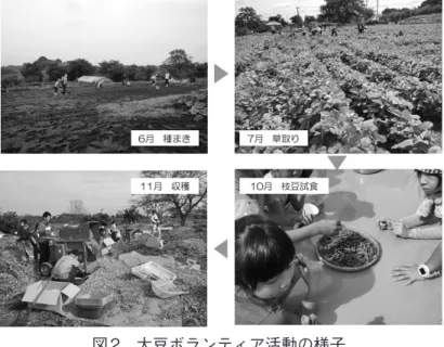 図 2　大豆ボランティア活動の様子 11  図1の連携のうち本研究実施時点では①のおからの飼料化は未実施であり、②の鶏糞 肥料は大豆圃場には合わないため使用を見合わせている。商品として供給するという連携である11 。③の消費者参加による大豆栽培活動で参加者は大豆の植え付け、草取り、収穫といった農作業を行う。参加者は消費生活協同組合の組合員とその家族で、ボランティアとして作業に参加する。この一連の活動を「大豆ボランティア活動」と呼んでいる。2　研究方法　2018 年度に実施した大豆ボランティア活動（以下、本活