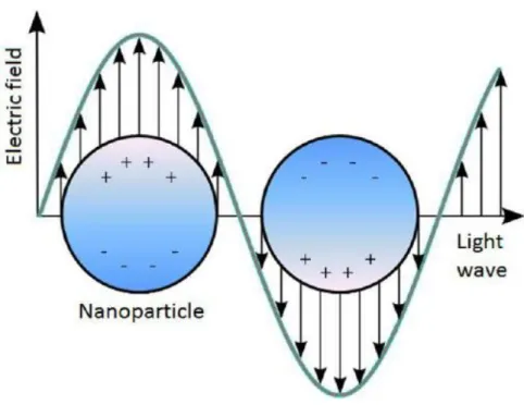 Figure 2-4. Schematic of LSPR. The conduction electrons in the metal fine particles resonate  with the incident light to generate LSPR