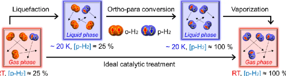 Figure 3. Schematic processes of liquefaction, ortho-para (o-p) conversion, vaporization  and ideal catalytic treatment for H 2 , and the o-p ratio at each point