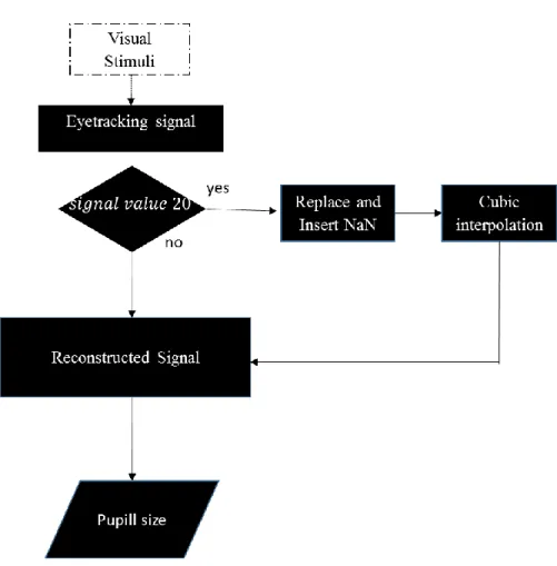 Figure 5. Pupillometry analysis
