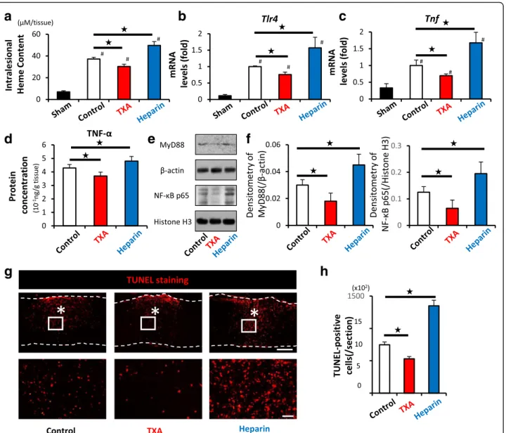 Fig. 5 TXA alleviates the intralesional heme content, TLR4/TNF axis, and the number of apoptotic cells after SCI
