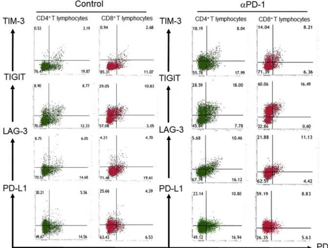 Fig. 2. Representative flow cytometric analysis of immune checkpoint protein expression on CD4 + or CD8 + T lymphocytes in pleural effusion of patients in the anti–PD-1 therapy (αPD-1) and control groups