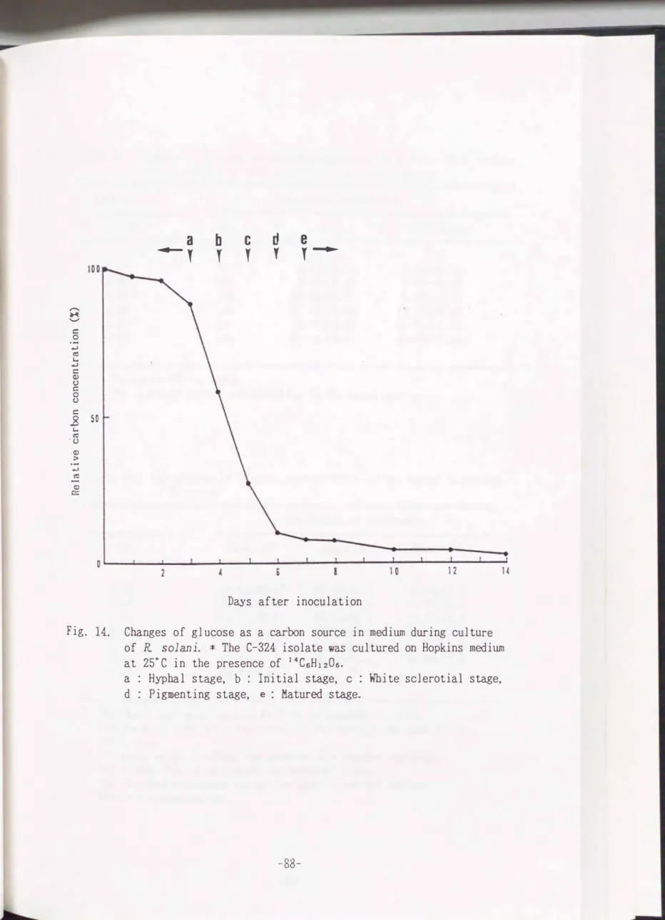 Fig.  14.  Changes  of  glucose  as  a  carbon  source  in  medium  during  culture  of  R  solani