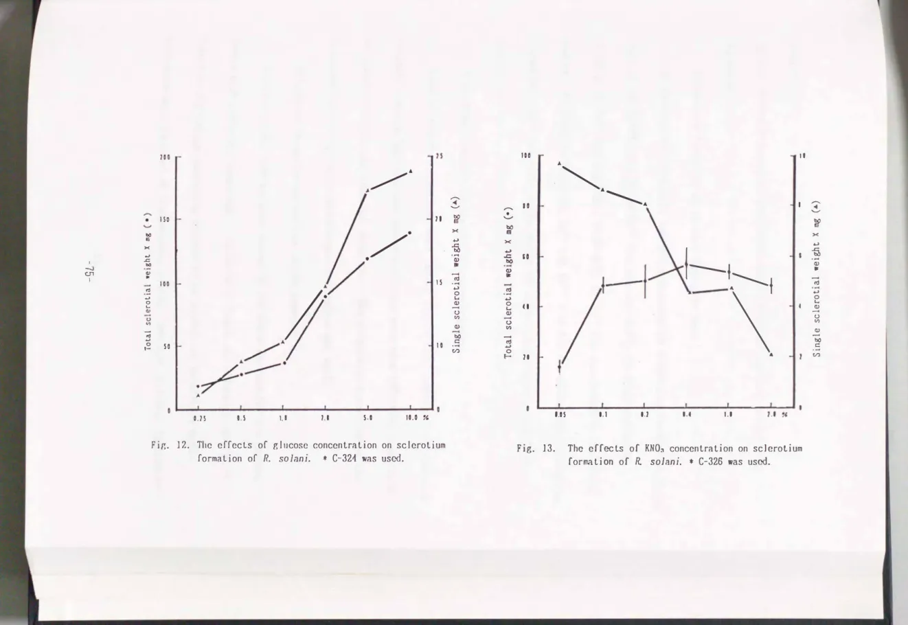 Fig.  13.  The  effects  of  KNO�  concentration  on  sclerotium  formation  of  R  solani