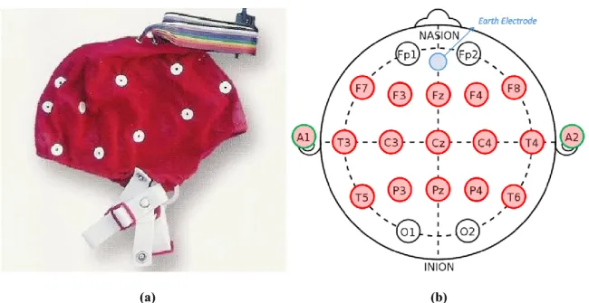 Figure 4-1 (a) the electrode cap, and (b) the electrode placements positions 